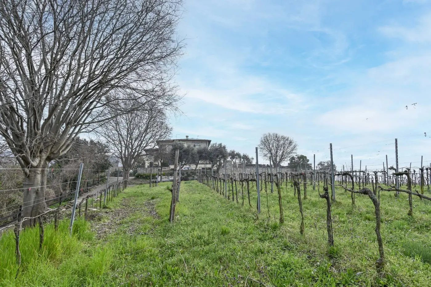Immagine per Villa in vendita a Chiuduno via Suardo 41