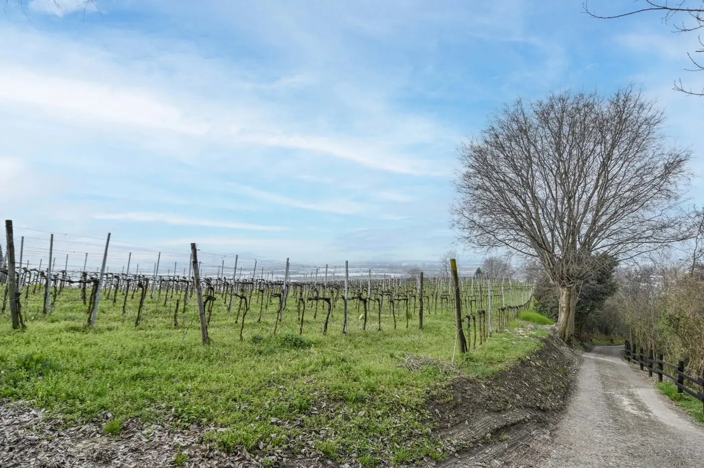 Immagine per Villa in vendita a Chiuduno via Suardo 41