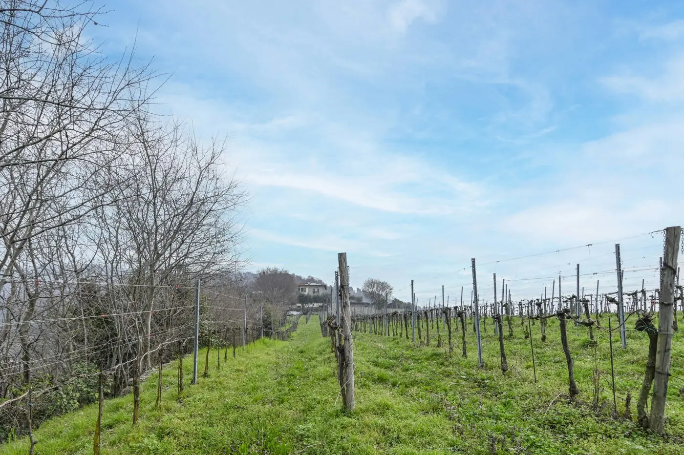 Immagine per Villa in vendita a Chiuduno via Suardo 41