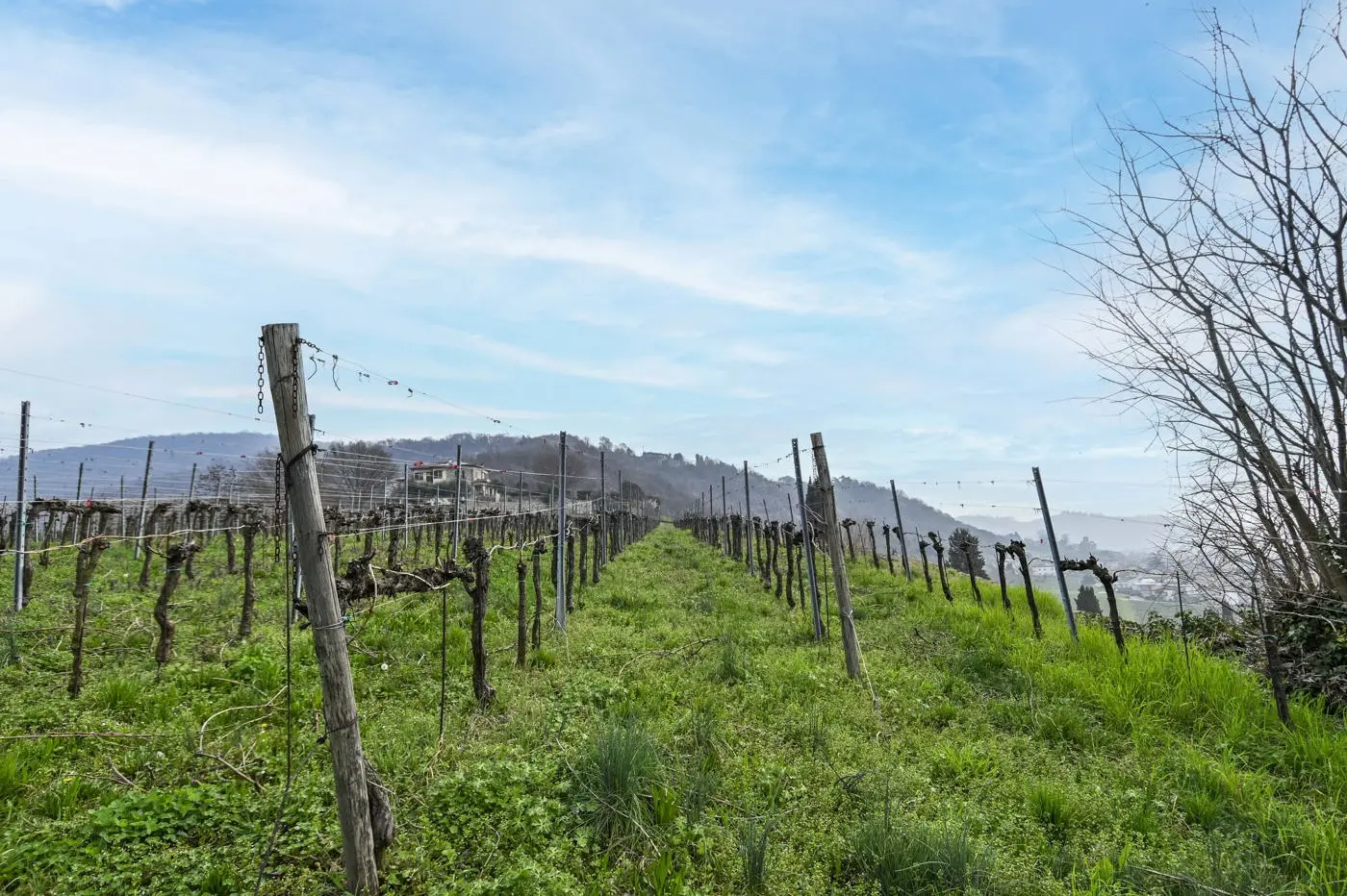 Immagine per Villa in vendita a Chiuduno via Suardo 41