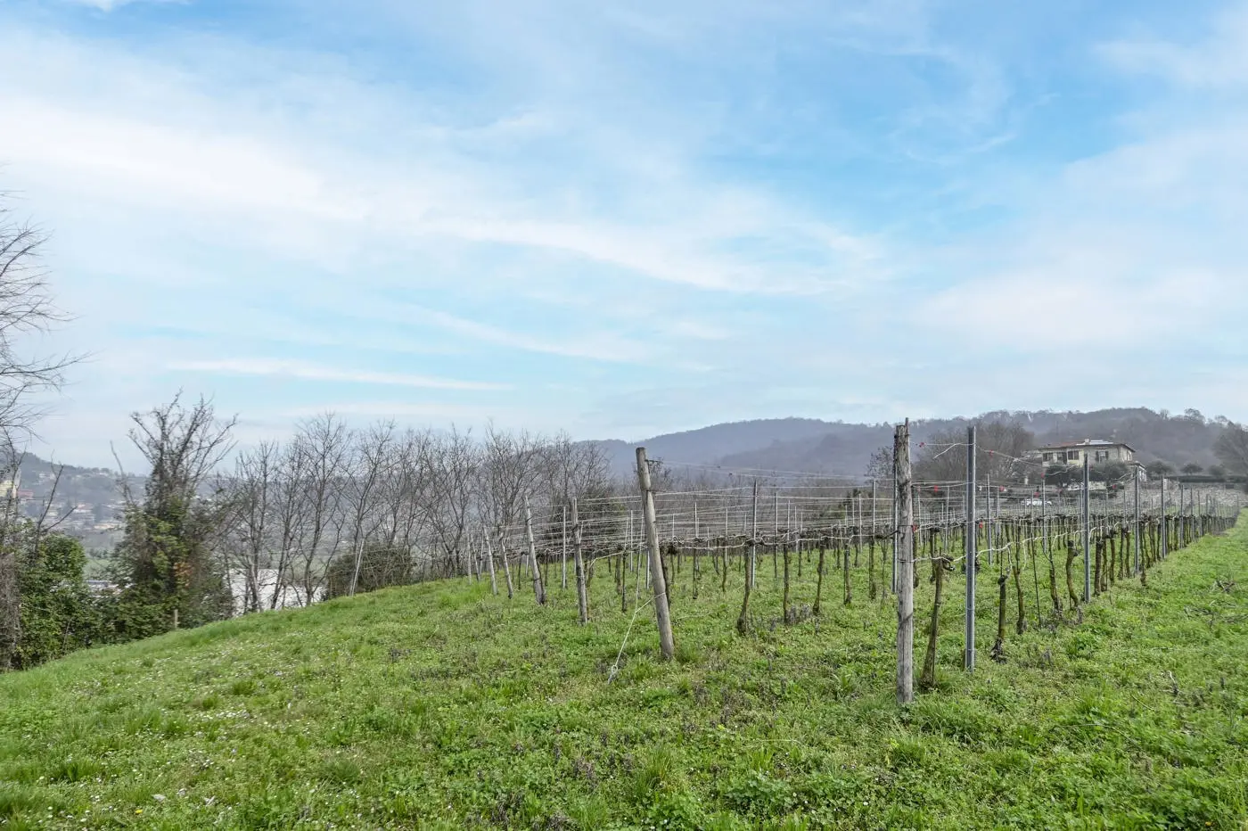 Immagine per Villa in vendita a Chiuduno via Suardo 41