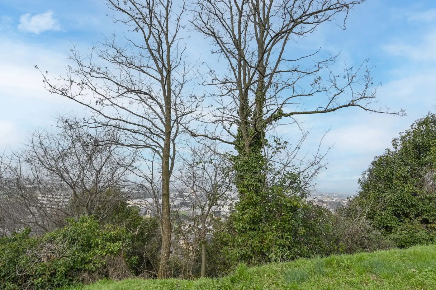 Immagine per Villa in vendita a Chiuduno via Suardo 41