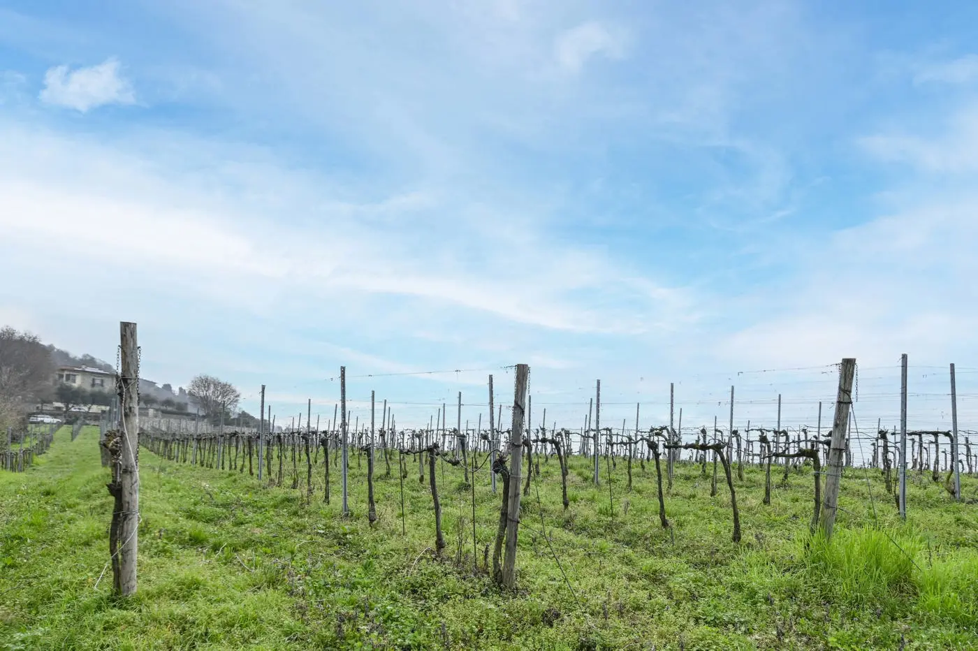 Immagine per Villa in vendita a Chiuduno via Suardo 41