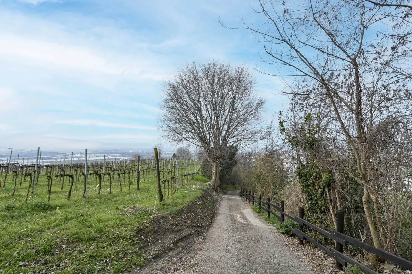 Immagine per Villa in vendita a Chiuduno via Suardo 41