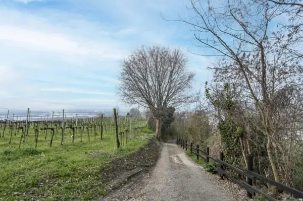 Villa via Suardo 41, Chiuduno
