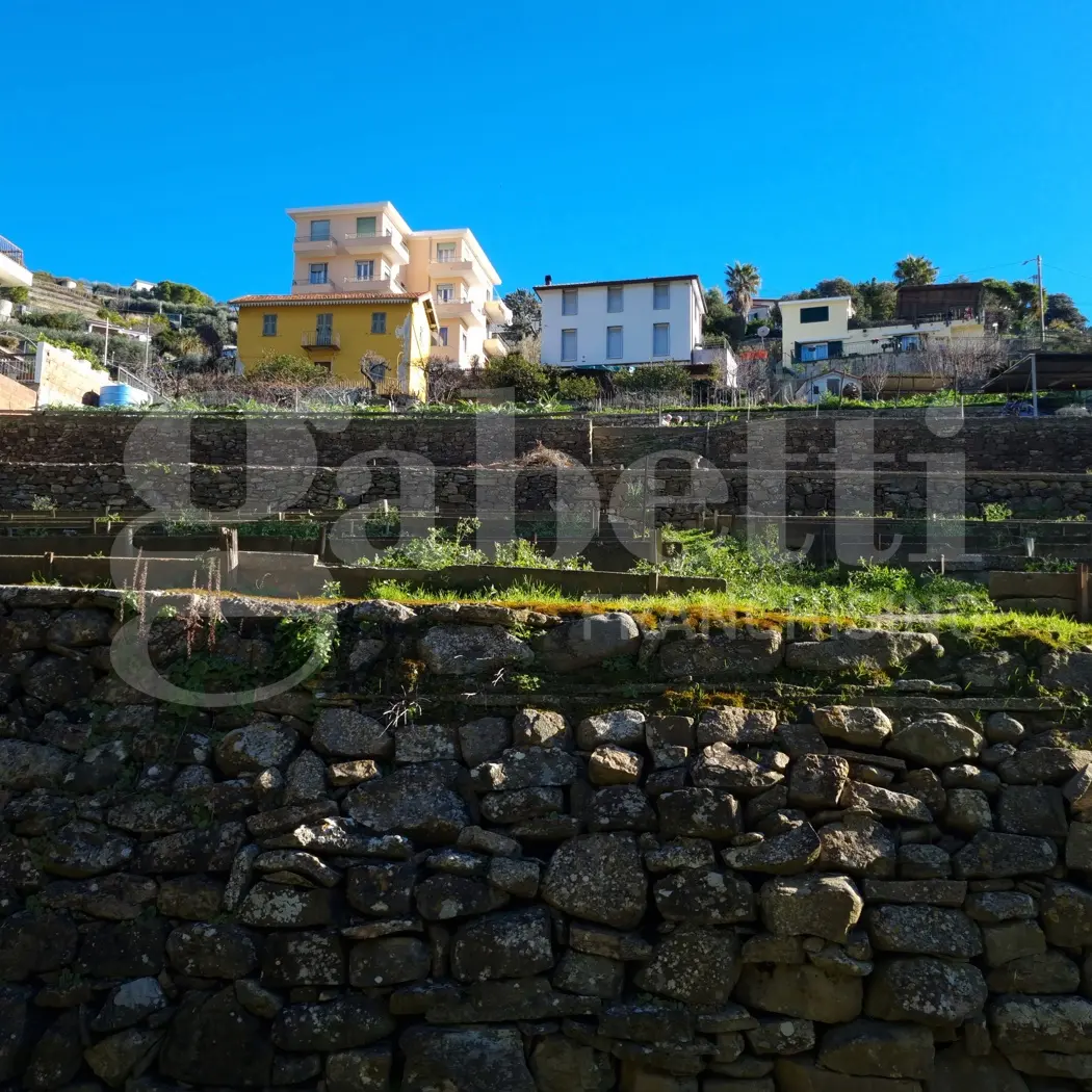 Immagine per Terreno Edificabile in vendita a Sanremo