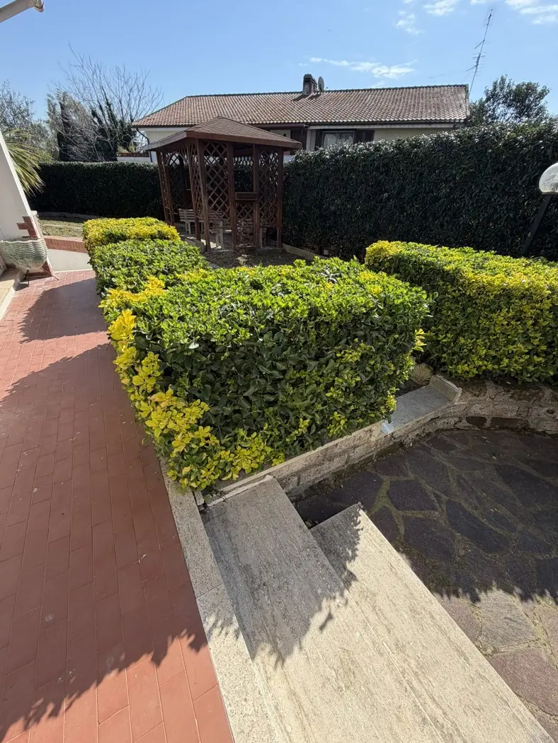 Immagine per Appartamento in vendita a Cerveteri via Elio Lucci 26