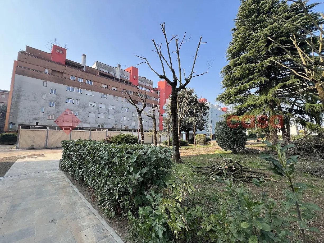 Immagine per Appartamento in vendita a Verona via Zancle 39