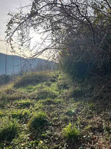 Appartamento via Croce Bianca 55, Mignanego
