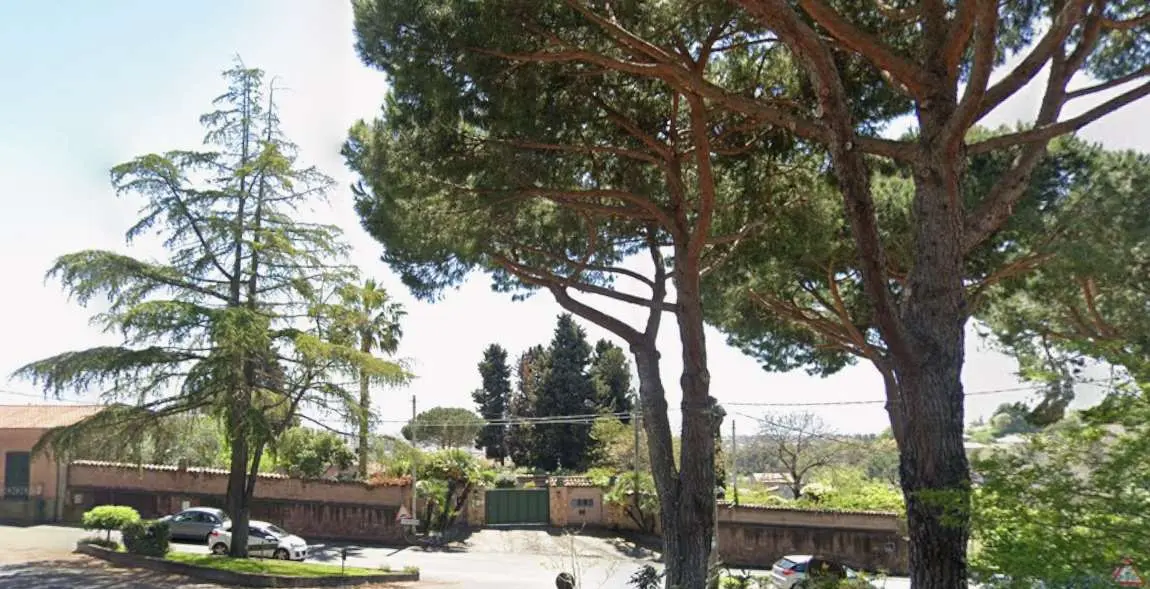 Immagine per Villa in asta a Trecastagni via Catania 51
