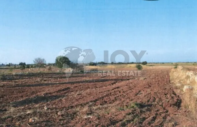 Immagine per Terreno in vendita a Lecce via Del Codibugnolo