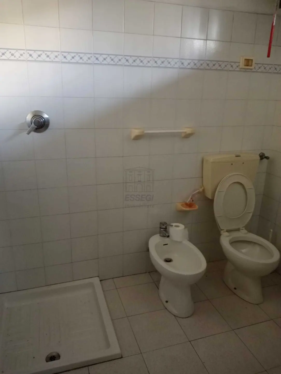 Immagine per Industriale in affitto a Capannori via Nuova Di Guamo 144
