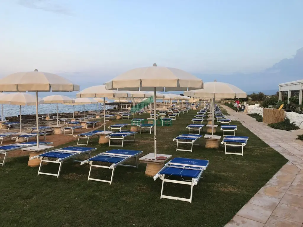 Immagine per Commerciale in vendita a Fasano via Contrada Garrappa 1