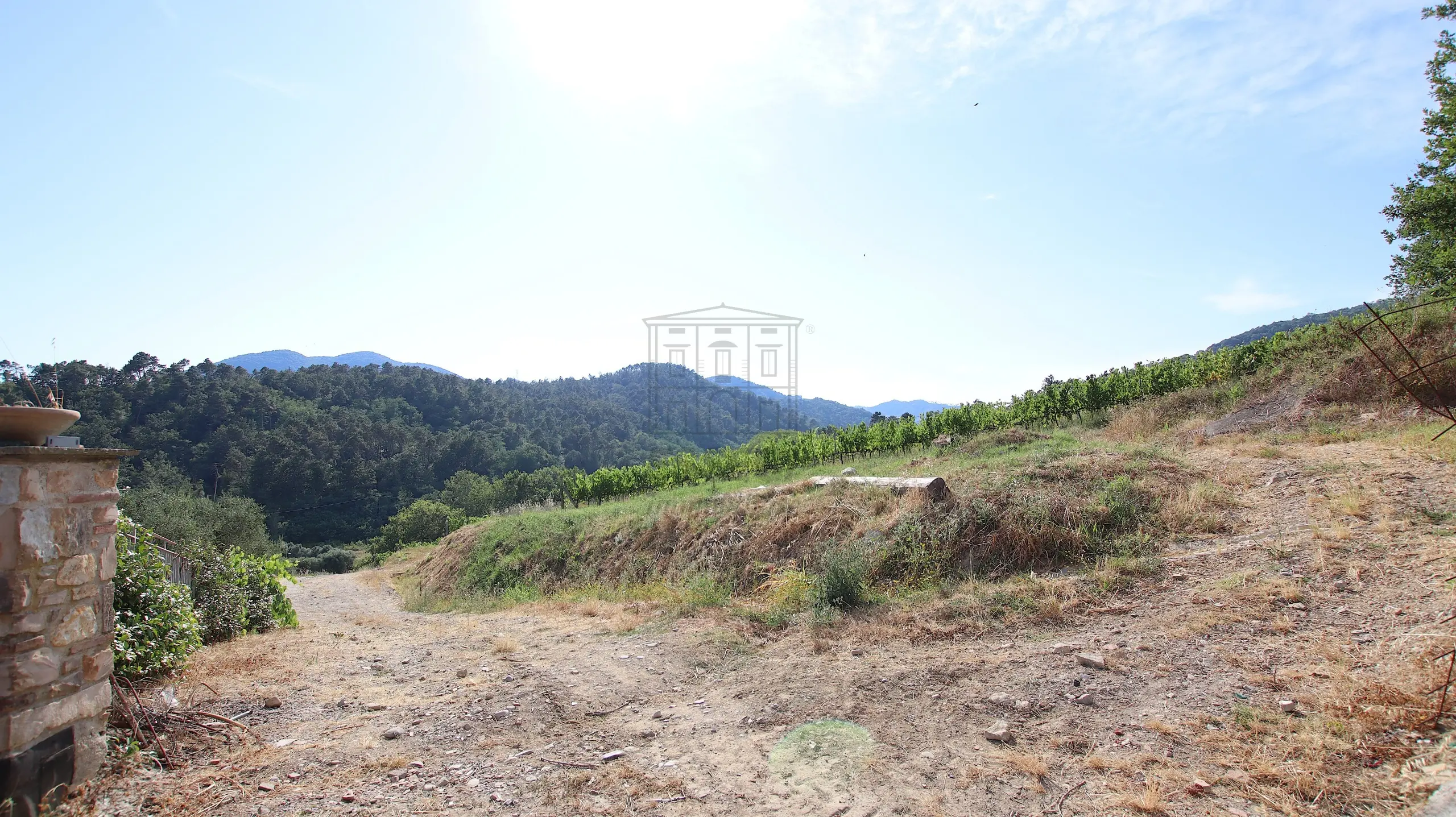 Immagine per Casale in vendita a Lucca via Villa Pardini 642b