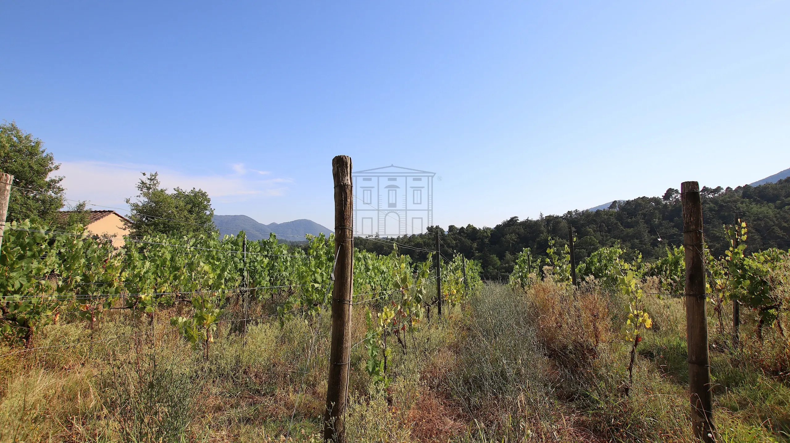 Immagine per Casale in vendita a Lucca via Villa Pardini 642b