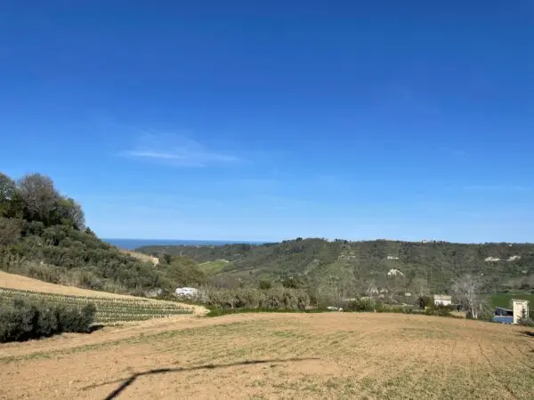 Casale via Contrada Canali, Ripatransone