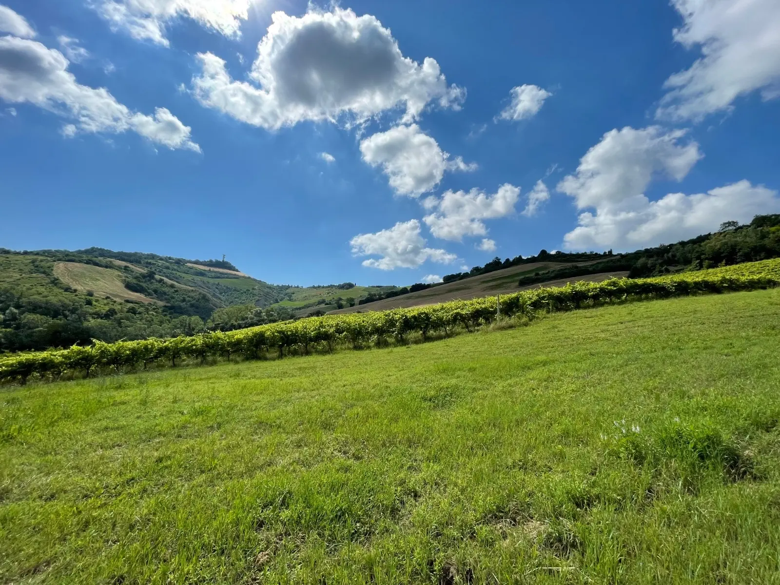 Immagine per Casale in vendita a Ripatransone via Contrada Collevecchio