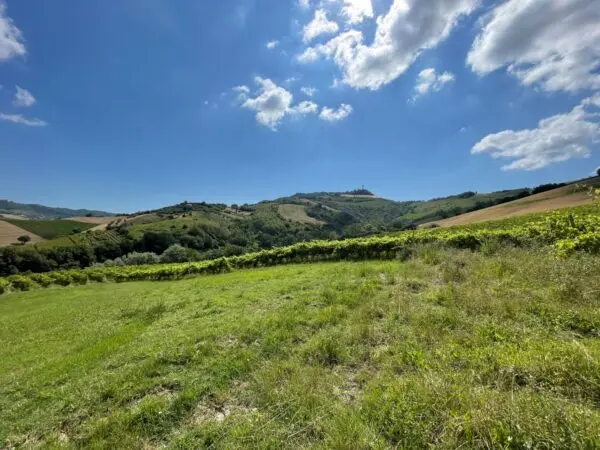 Casale via Contrada Collevecchio, Ripatransone