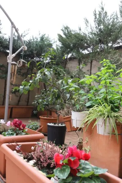 Appartamento V. Paolo Giovio 45, Milano