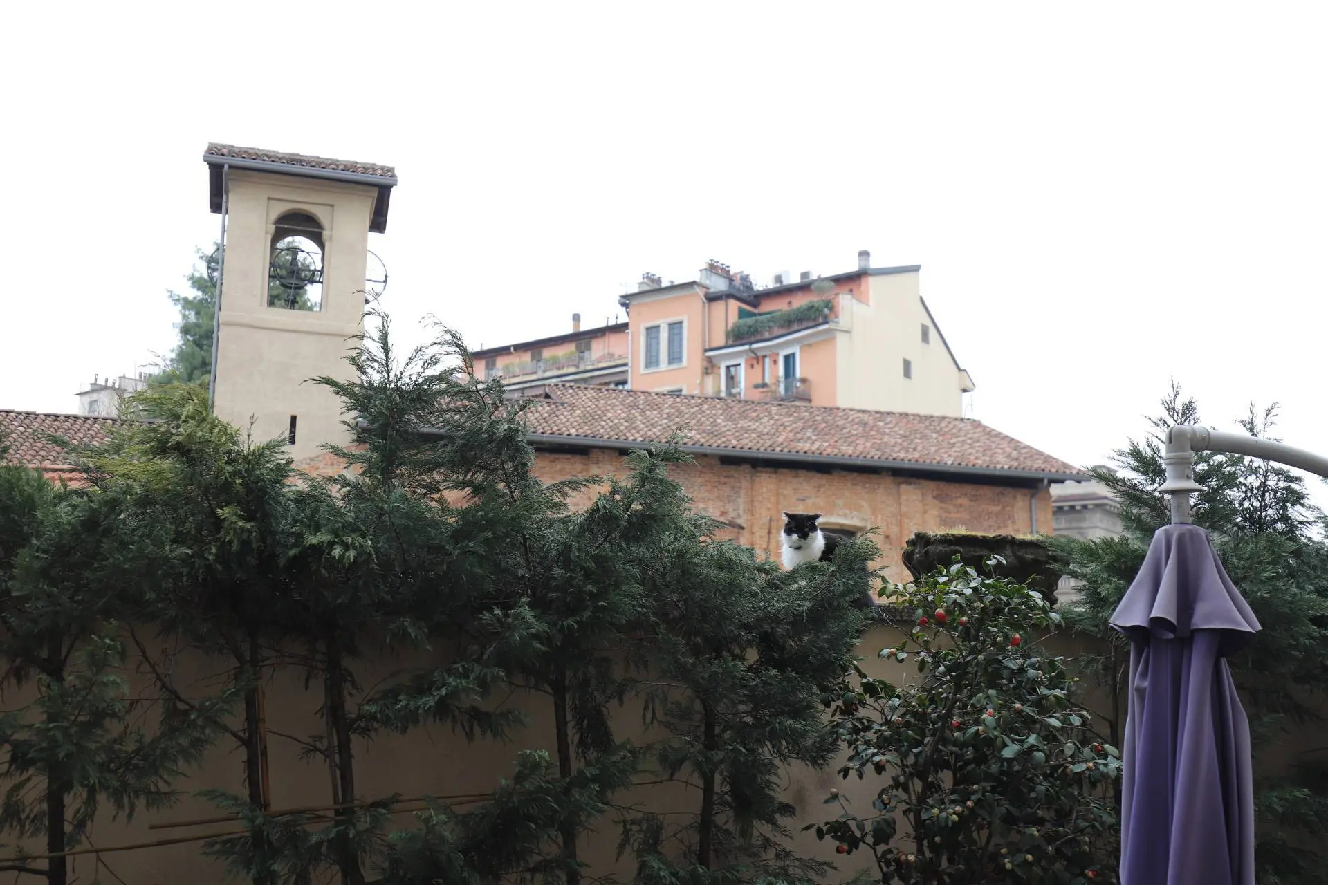 Immagine per Appartamento in affitto a Milano V. Paolo Giovio 45