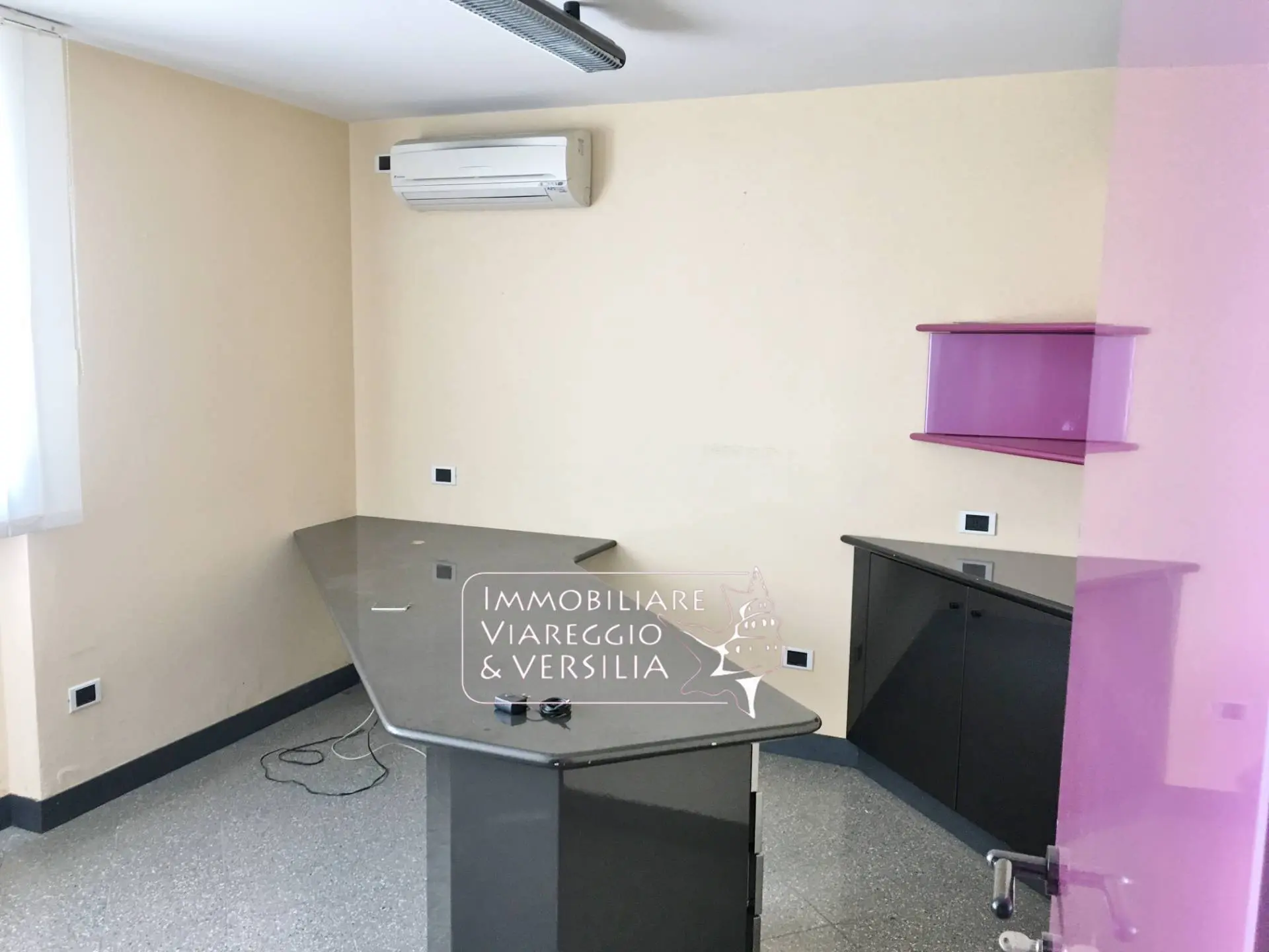 Immagine per Laboratorio in vendita a Forte dei Marmi via dei Metalmeccanici 