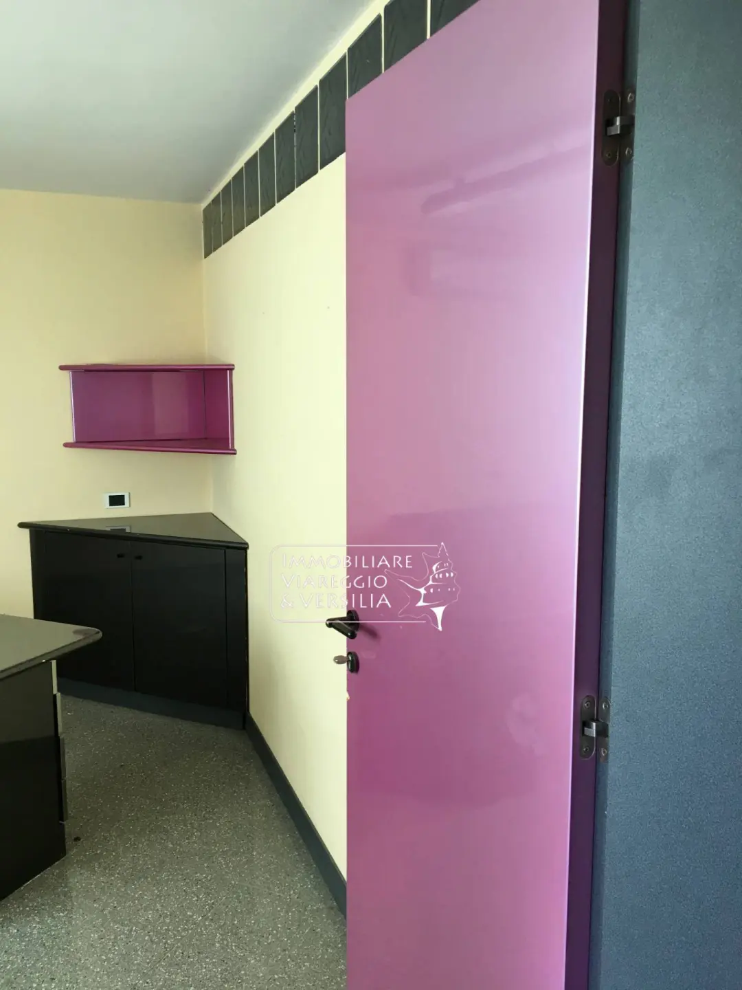 Immagine per Laboratorio in vendita a Forte dei Marmi via dei Metalmeccanici 