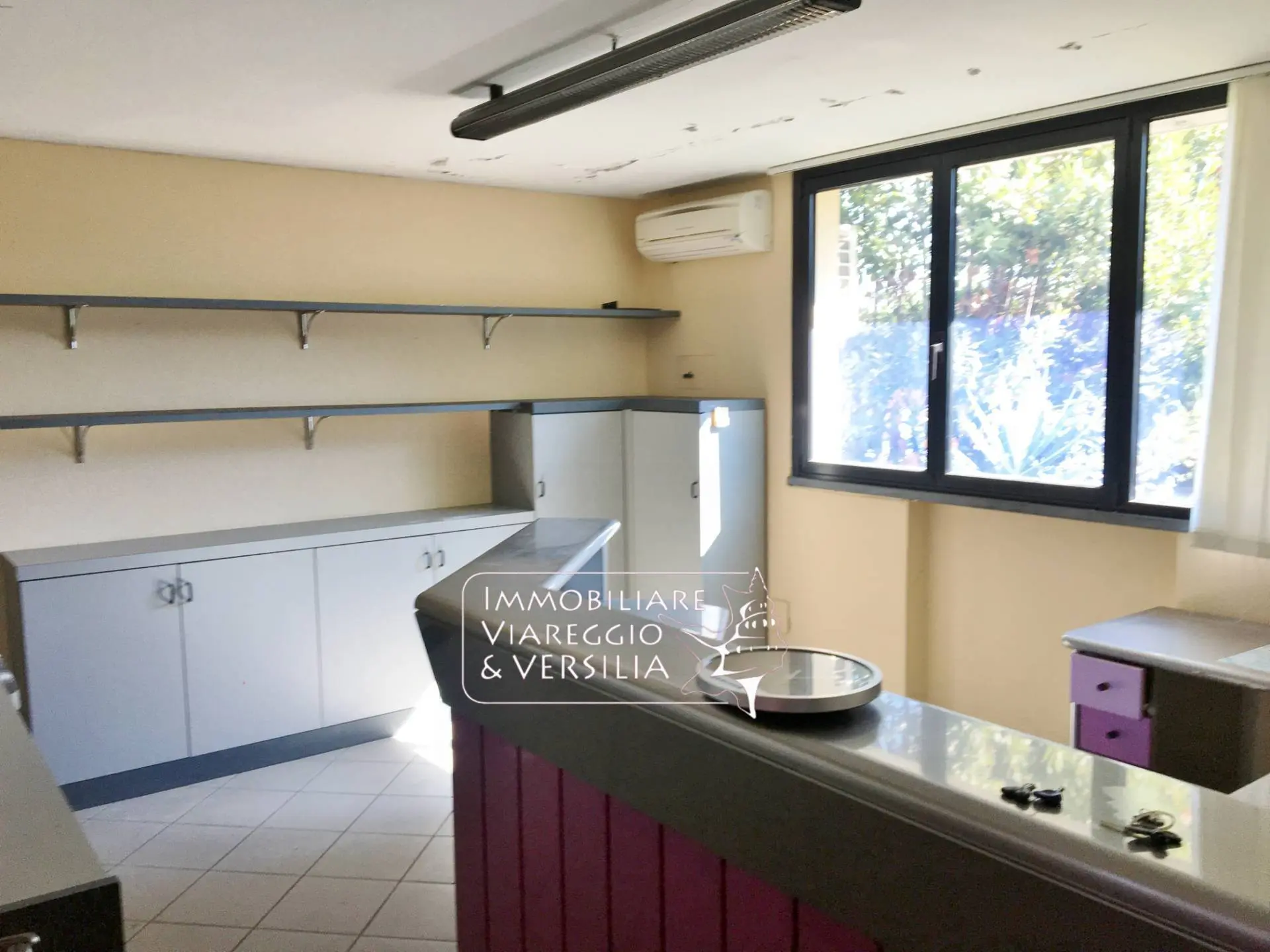 Immagine per Laboratorio in vendita a Forte dei Marmi via dei Metalmeccanici 