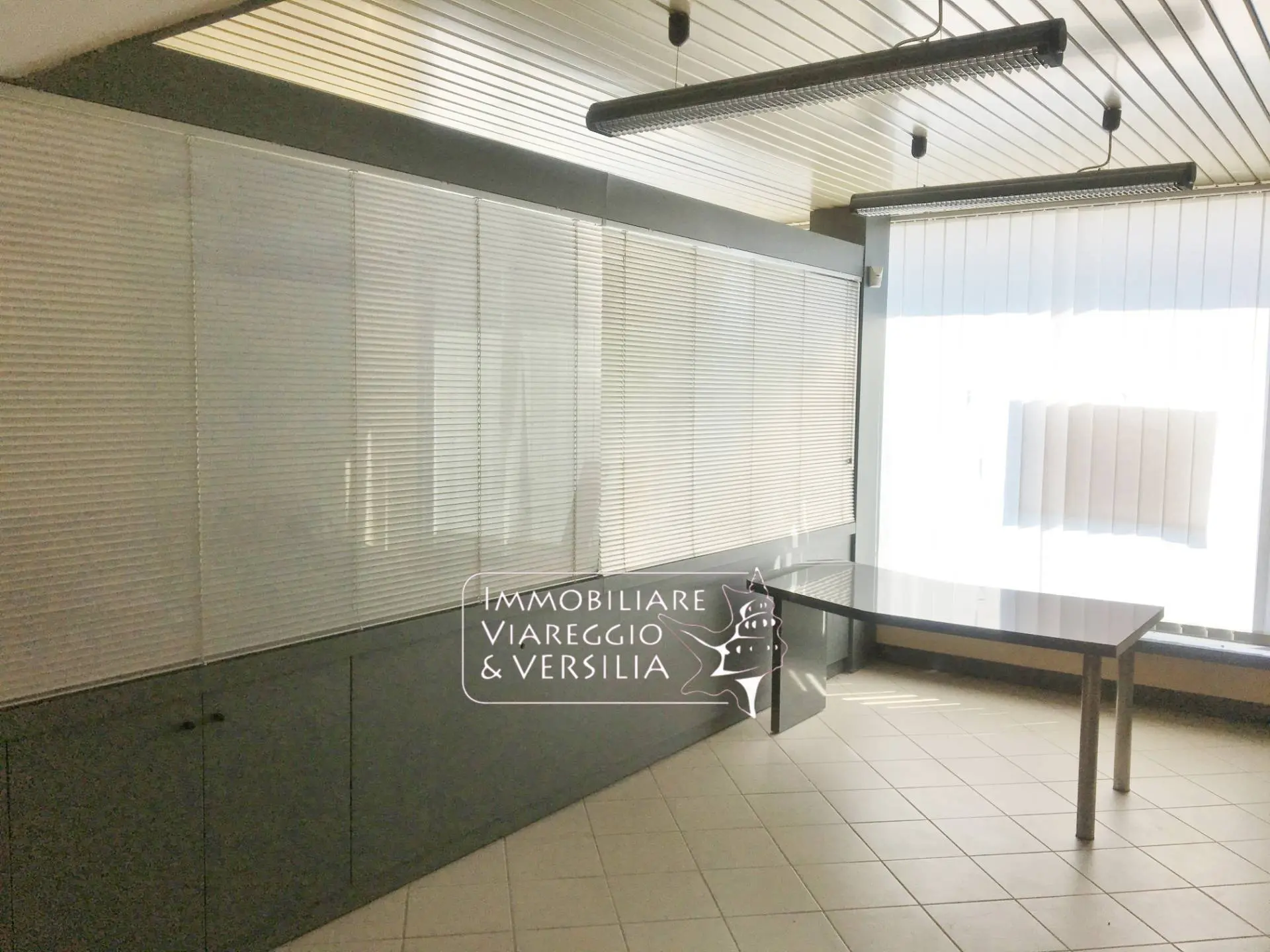 Immagine per Laboratorio in vendita a Forte dei Marmi via dei Metalmeccanici 