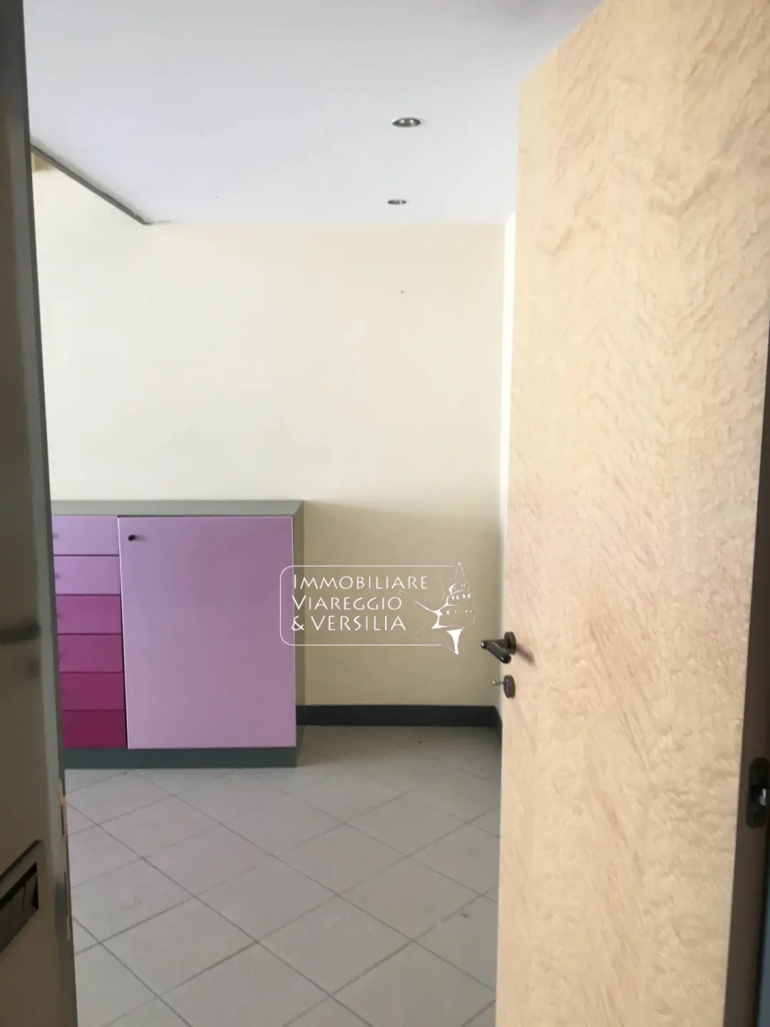 Immagine per Laboratorio in vendita a Forte dei Marmi via dei Metalmeccanici 