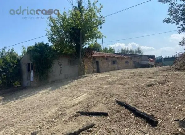 Terreno Agricolo via Pertini, Coriano