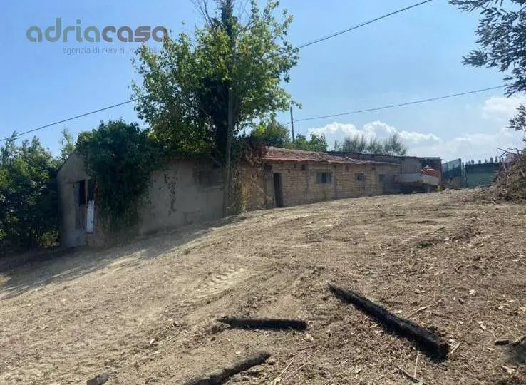 Immagine per Terreno Agricolo in vendita a Coriano Via Pertini 