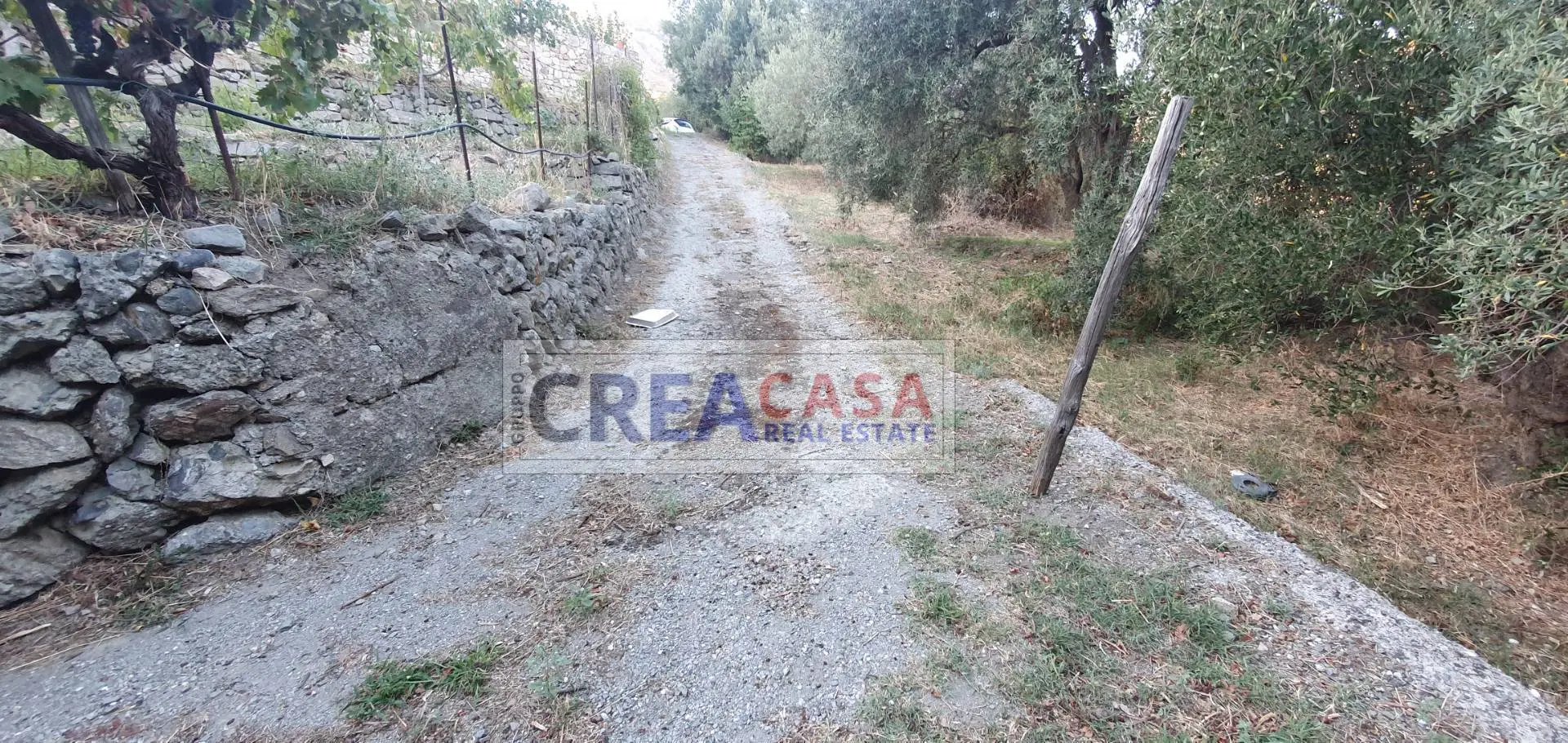 Immagine per Villa in vendita a Graniti contrada Feo 