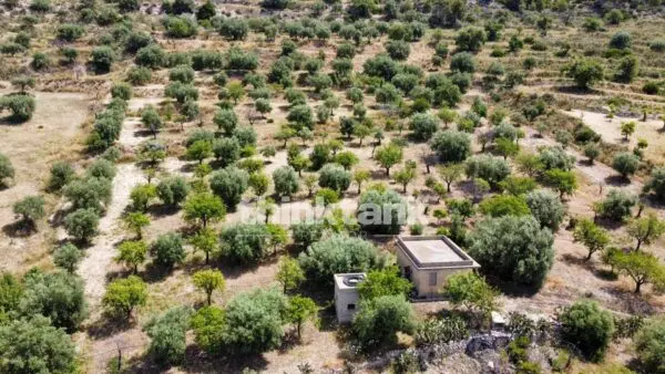 Terreno Agricolo SS 115 Sud Occidentale Sicula, Noto