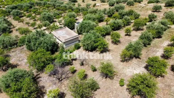 Terreno Agricolo SS 115 Sud Occidentale Sicula, Noto
