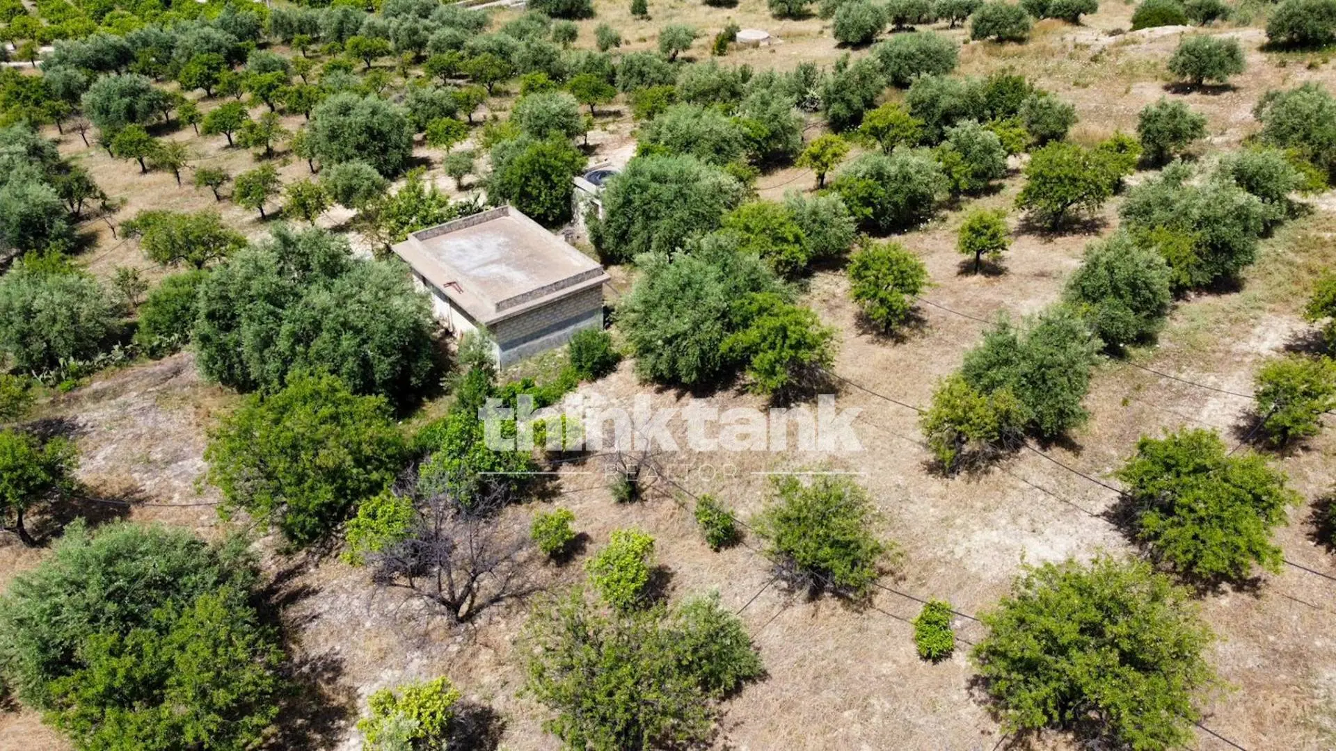 Immagine per Terreno Agricolo in vendita a Noto SS 115 Sud occidentale Sicula 