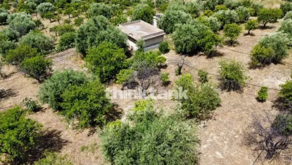 Terreno Agricolo SS 115 Sud Occidentale Sicula, Noto