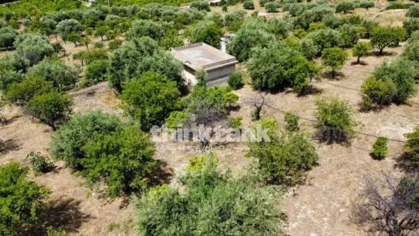 Terreno Agricolo SS 115 Sud Occidentale Sicula, Noto
