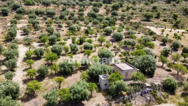 Terreno Agricolo SS 115 Sud Occidentale Sicula, Noto