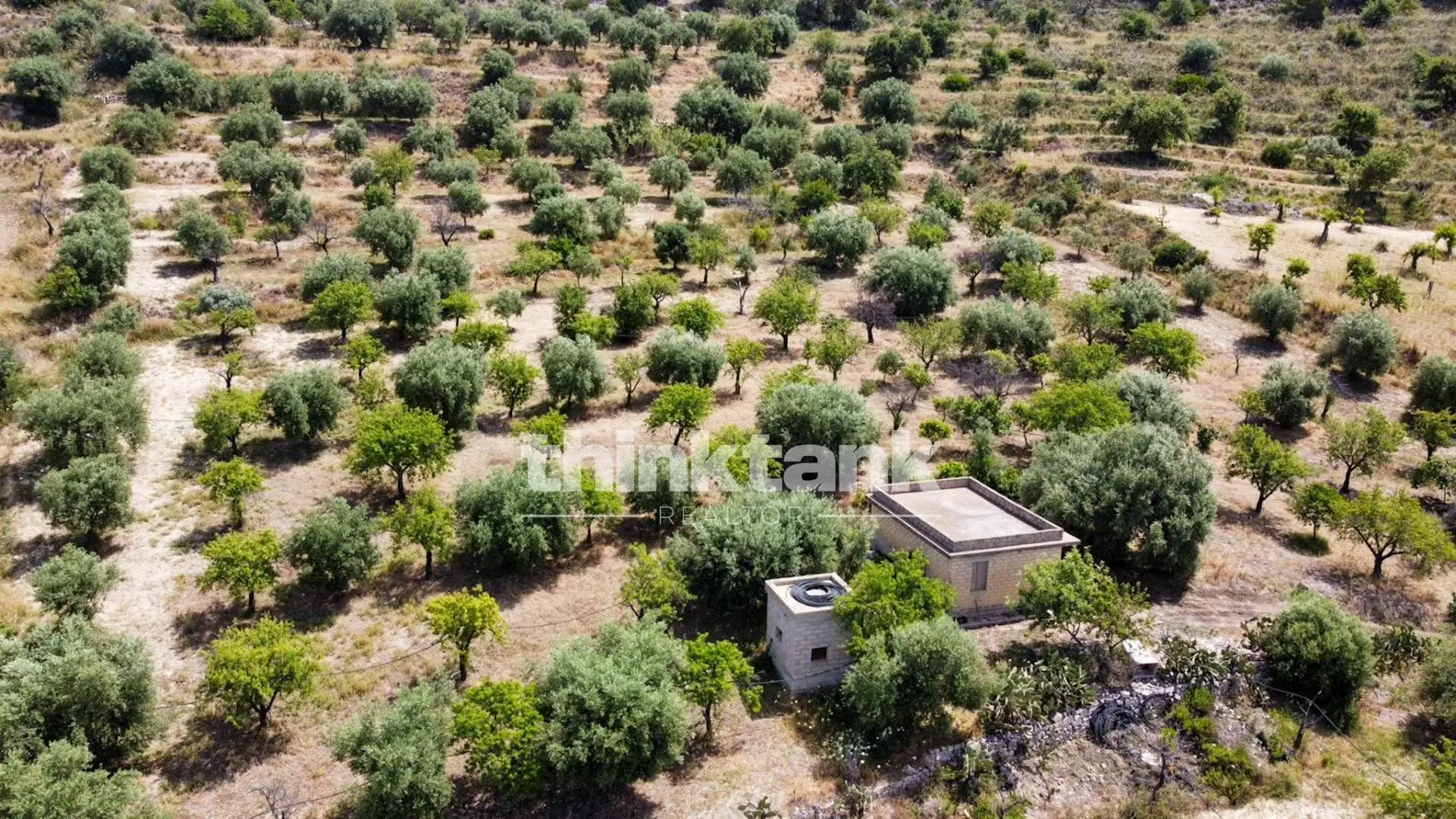 Immagine per Terreno Agricolo in vendita a Noto SS 115 Sud occidentale Sicula 