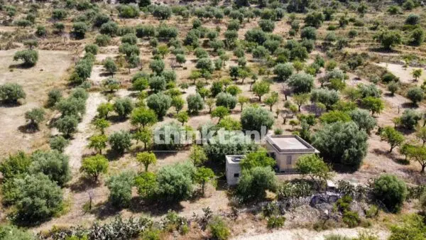 Terreno Agricolo SS 115 Sud Occidentale Sicula, Noto