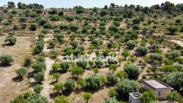 Terreno Agricolo SS 115 Sud Occidentale Sicula, Noto