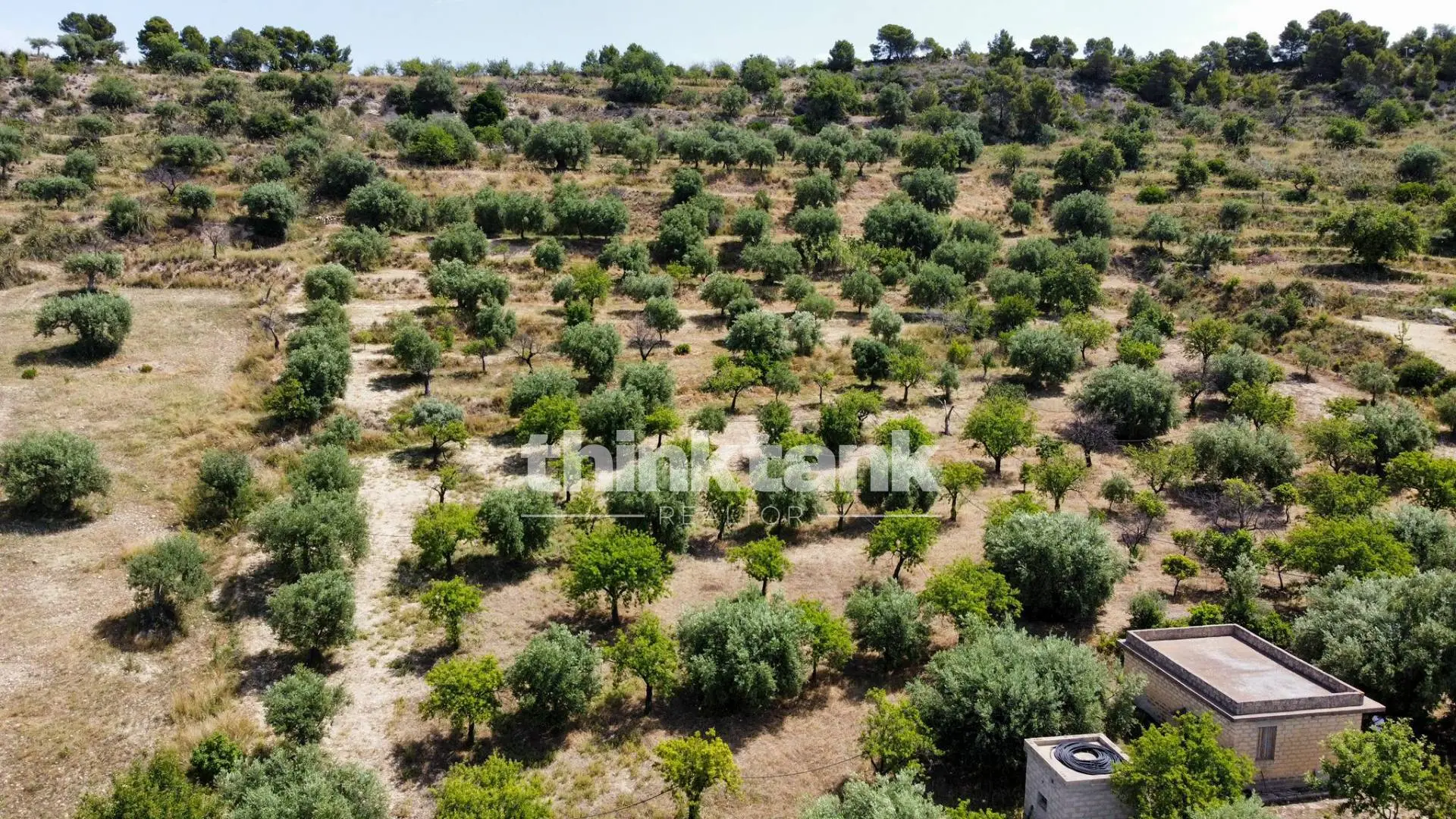 Immagine per Terreno Agricolo in vendita a Noto SS 115 Sud occidentale Sicula 