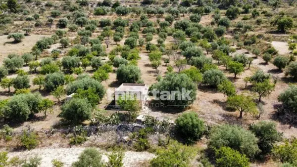 Terreno Agricolo SS 115 Sud Occidentale Sicula, Noto