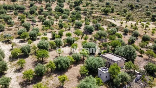 Terreno Agricolo SS 115 Sud Occidentale Sicula, Noto