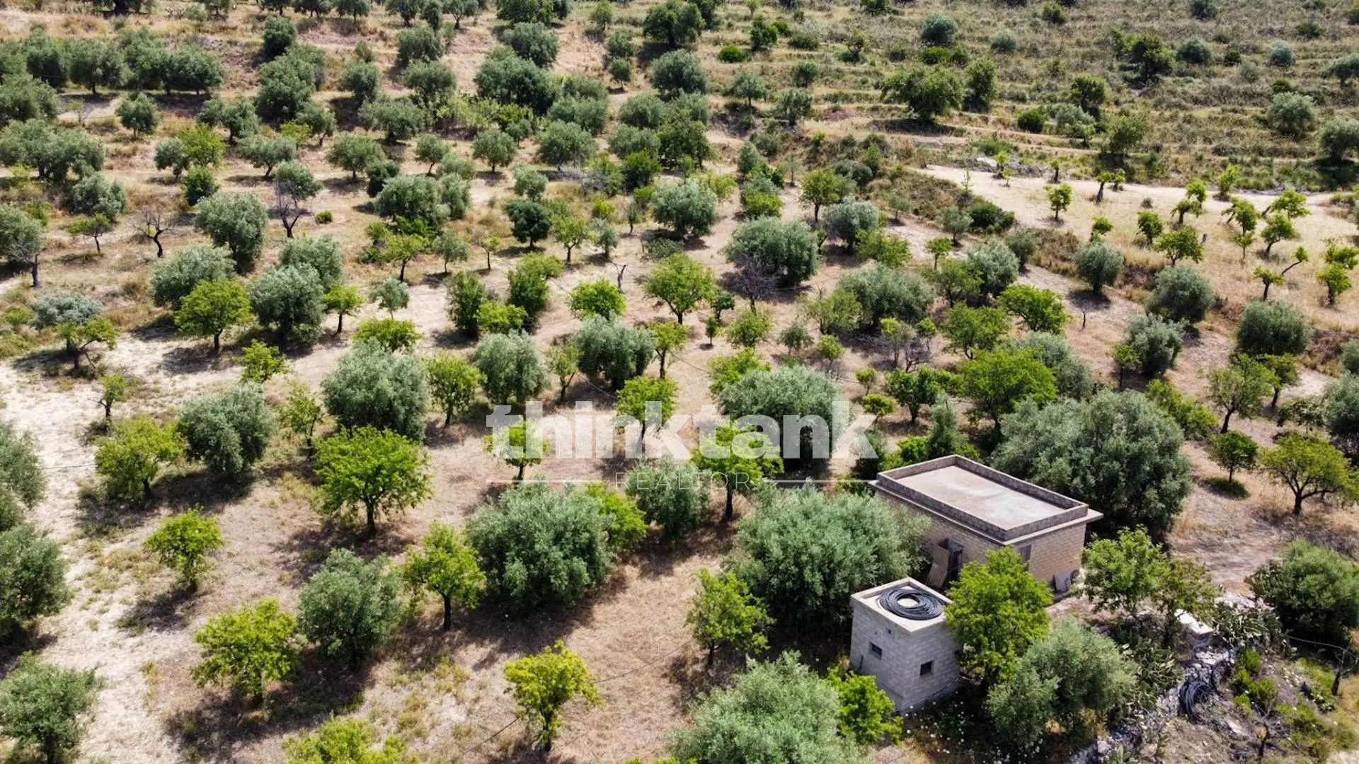 Immagine per Terreno Agricolo in vendita a Noto SS 115 Sud occidentale Sicula 