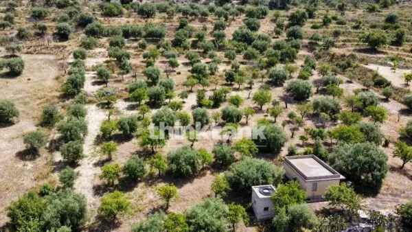 Terreno Agricolo SS 115 Sud Occidentale Sicula, Noto