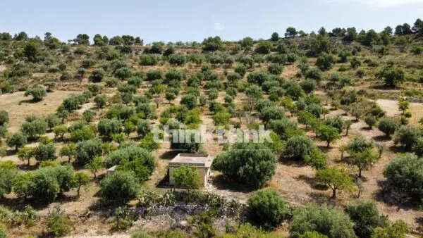 Terreno Agricolo SS 115 Sud Occidentale Sicula, Noto
