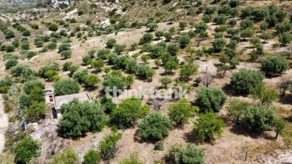 Terreno Agricolo SS 115 Sud Occidentale Sicula, Noto