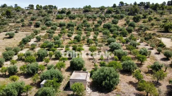 Terreno Agricolo SS 115 Sud Occidentale Sicula, Noto