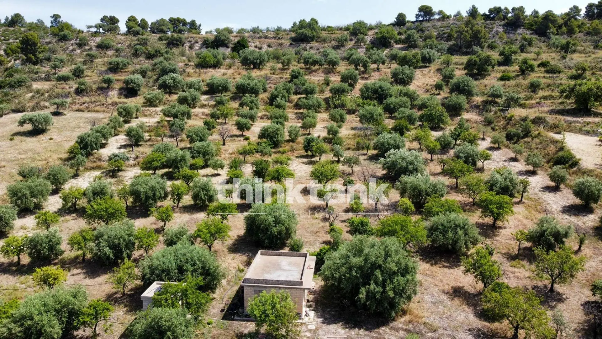 Immagine per Terreno Agricolo in vendita a Noto SS 115 Sud occidentale Sicula 